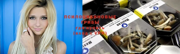 герыч Бронницы