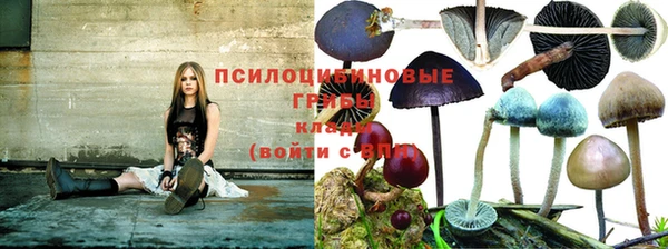 мдма Бородино