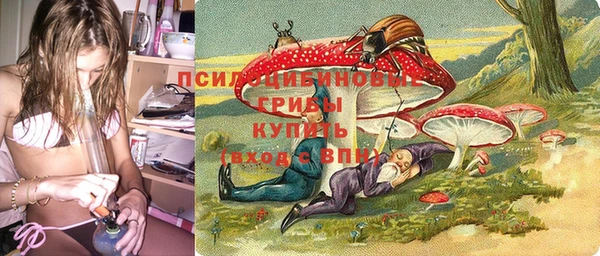 герыч Бронницы