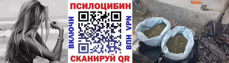Галлюциногенные грибы Magic Shrooms  OMG сайт  Горно-Алтайск 